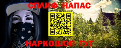 ПСИЛОЦИБИНОВЫЕ ГРИБЫ Краснознаменск