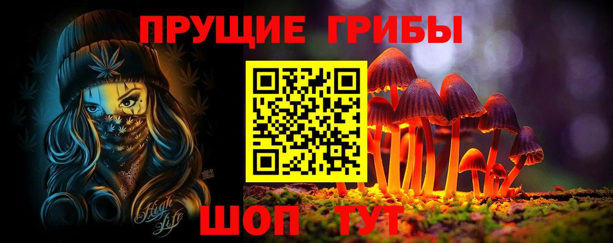 Галлюциногенные грибы Psilocybe  Вход с VPN  Изобильный 